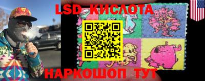 шишки Свободный