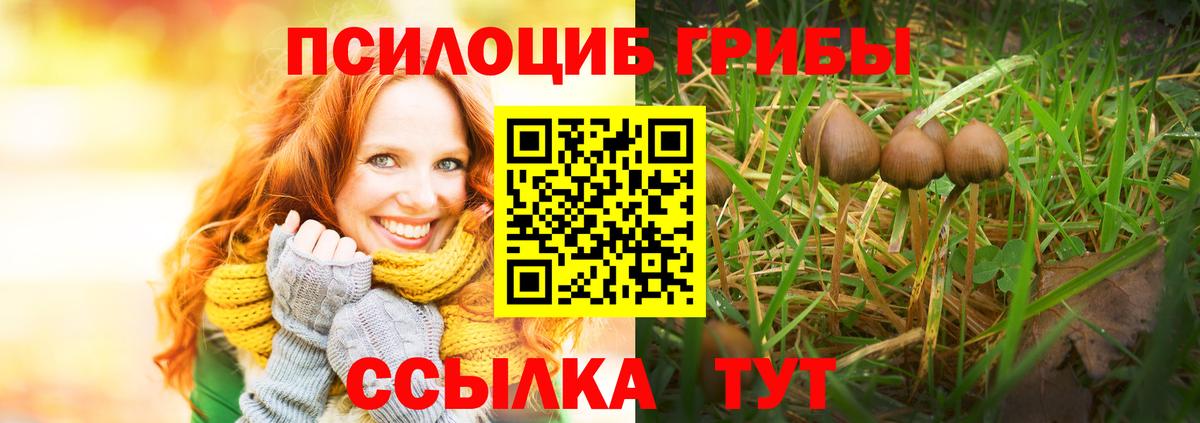 Галлюциногенные грибы прущие грибы Шали
